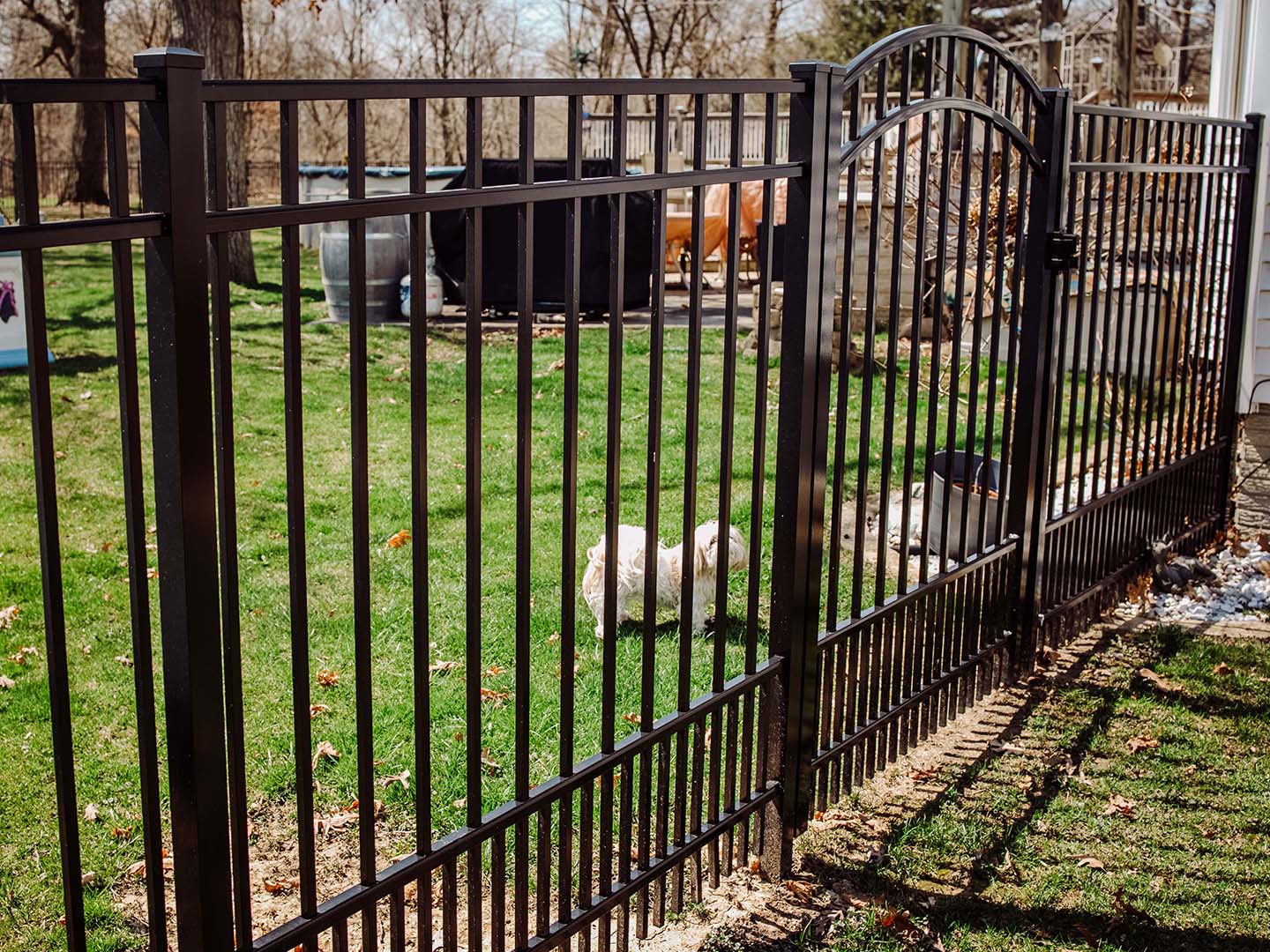 Photo an aluminum fence with dog in Valparaiso, Indiana